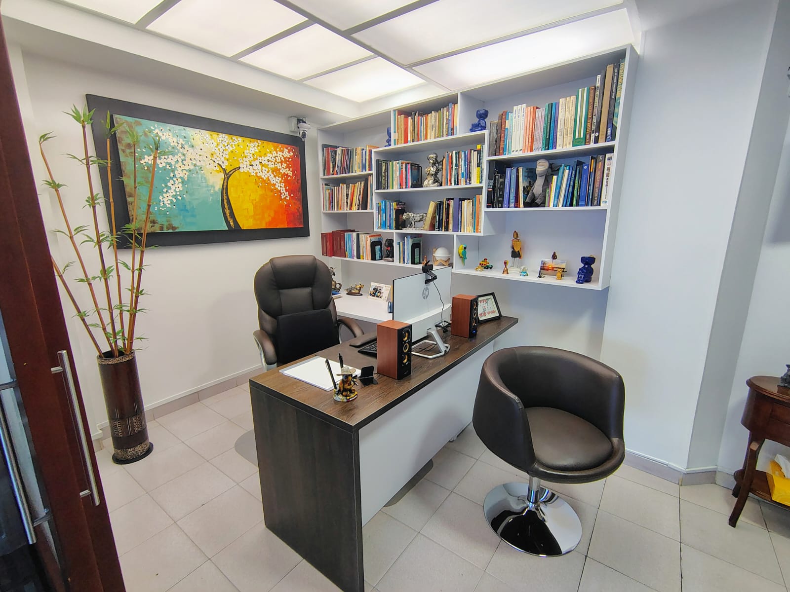 Consultorio con biblioteca profesional